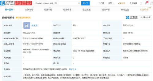 信息系统集成服务 连接技术桥梁，驱动业务创新